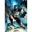 Laden Sie das Bild in den Galerie-Viewer, Batman - 1000 teile