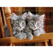 Laden Sie das Bild in den Galerie-Viewer, Kittens - 500 teile