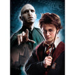 Laden Sie das Bild in den Galerie-Viewer, Harry Potter - 500 teile