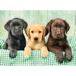 Laden Sie das Bild in den Galerie-Viewer, Three Labs - 1000 teile