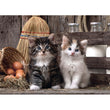 Laden Sie das Bild in den Galerie-Viewer, Lovely kittens - 1000 teile