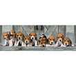 Laden Sie das Bild in den Galerie-Viewer, Beagles - 1000 teile