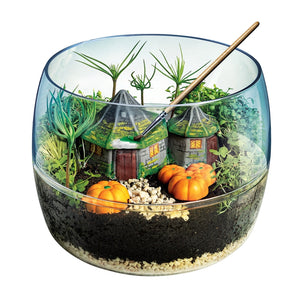 Harry Potter - Terrarium