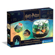Laden Sie das Bild in den Galerie-Viewer, Harry Potter - Terrarium
