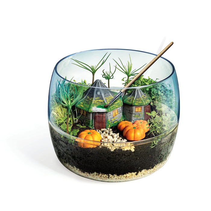 Harry Potter - Terrarium