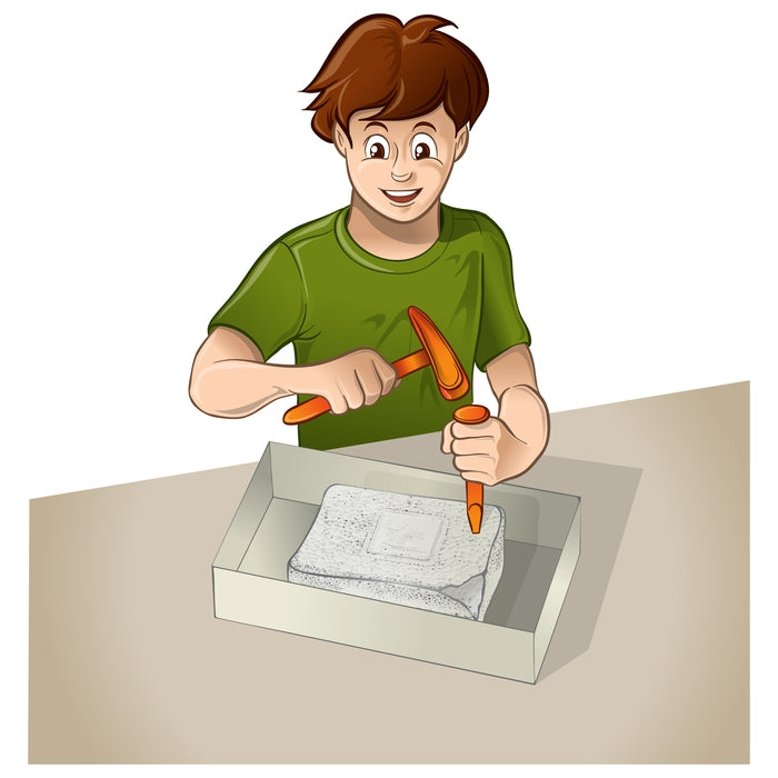 Mosasaurus + Brachiosaurus Ausgrabungs-Set