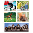 Laden Sie das Bild in den Galerie-Viewer, Animal Friends - 1x60 + 2x48 + 4x30 + 3x18 teile
