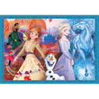 Laden Sie das Bild in den Galerie-Viewer, Disney Frozen - 1x12 + 1x16 + 1x20 + 1x24 teile

