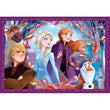 Laden Sie das Bild in den Galerie-Viewer, Disney Frozen - 1x12 + 1x16 + 1x20 + 1x24 teile
