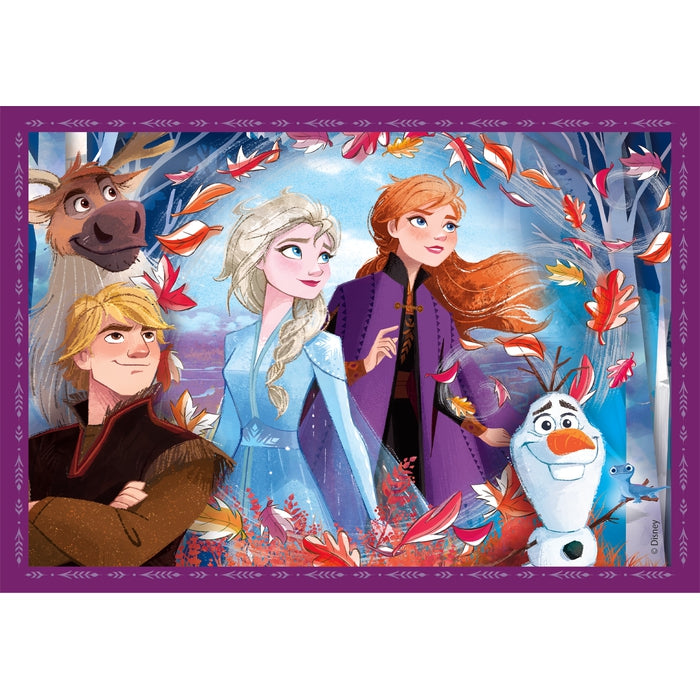 Disney Frozen - 1x12 + 1x16 + 1x20 + 1x24 teile