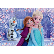 Laden Sie das Bild in den Galerie-Viewer, Frozen - 2x20 teile
