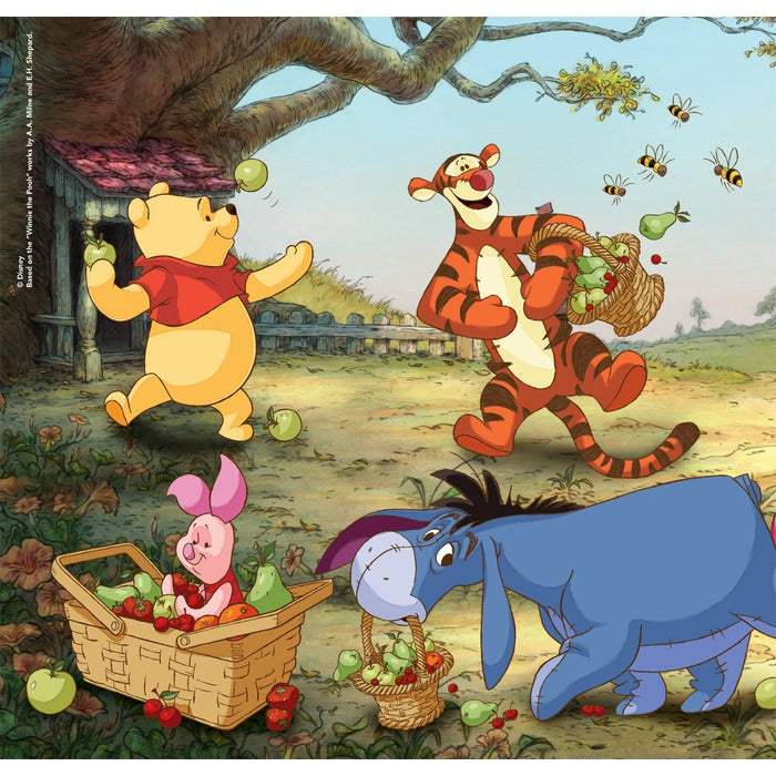 Disney Winnie The Pooh - 3x48 teile