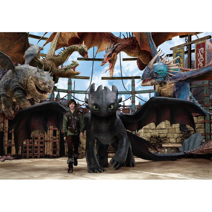 How to Train Your Dragon - 104 teile