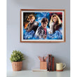Laden Sie das Bild in den Galerie-Viewer, Harry Potter - 500 teile
