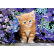 Laden Sie das Bild in den Galerie-Viewer, Ginger Cat - 500 teile
