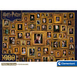 Laden Sie das Bild in den Galerie-Viewer, Harry Potter - 1000 teile
