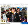 Laden Sie das Bild in den Galerie-Viewer, Harry Potter - 1000 teile
