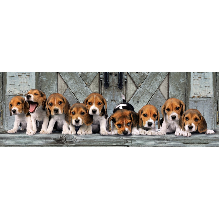 Beagles - 1000 teile