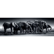 Laden Sie das Bild in den Galerie-Viewer, Herd Of Giants - 1000 teile
