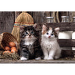 Laden Sie das Bild in den Galerie-Viewer, Lovely Kittens - 1000 teile
