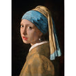Laden Sie das Bild in den Galerie-Viewer, Vermeer, Girl With Pearl Earring - 1000 teile
