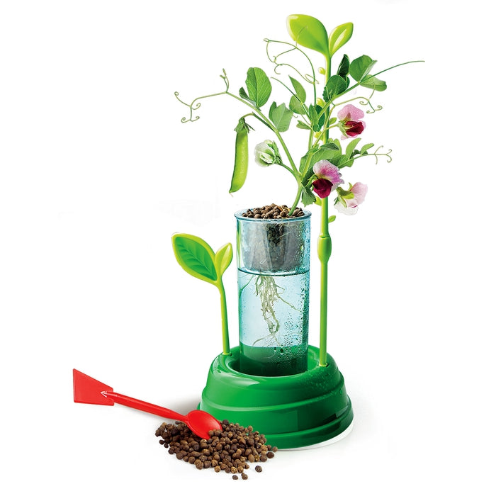 Botanik und Hydrokultur