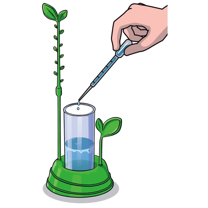 Botanik und Hydrokultur