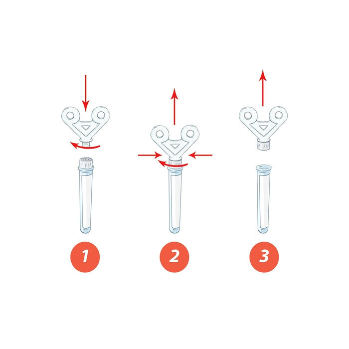 Kristalle selbst züchten Mega