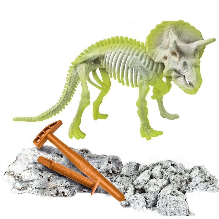 Ausgrabungs-Set Triceratops