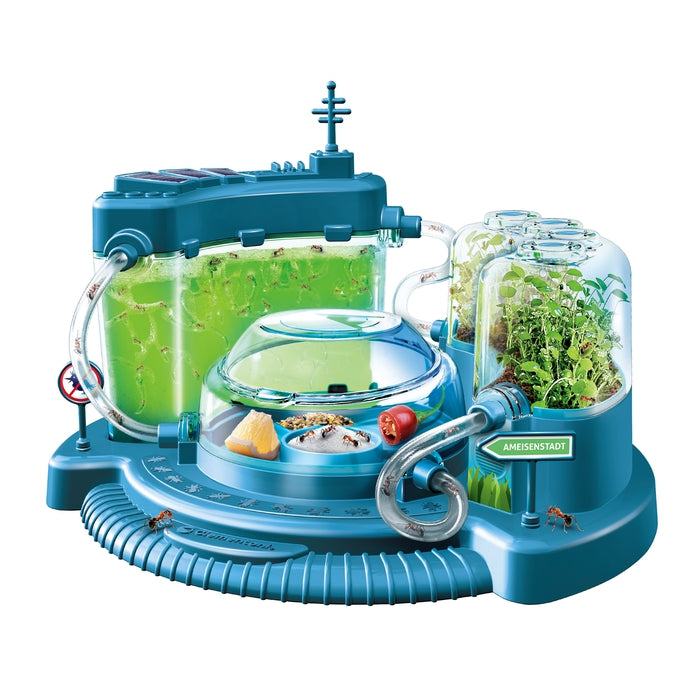 Entdecke die Welt der Ameisen