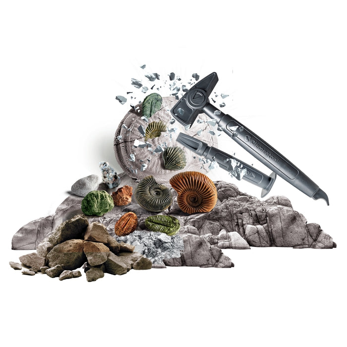 Austrabungs-Set Fossilien & Mineralien