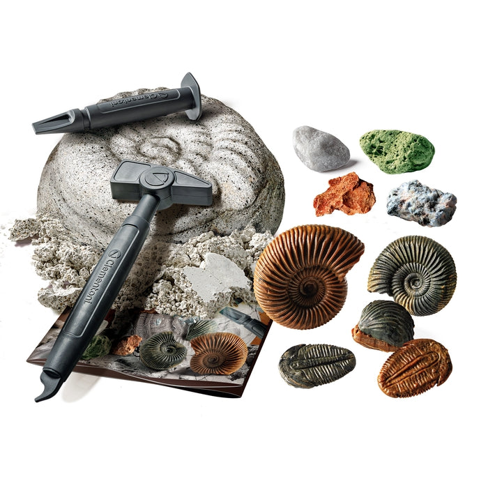 Austrabungs-Set Fossilien & Mineralien