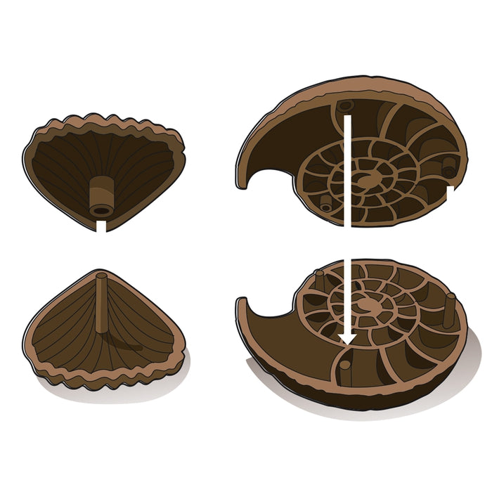 Austrabungs-Set Fossilien & Mineralien