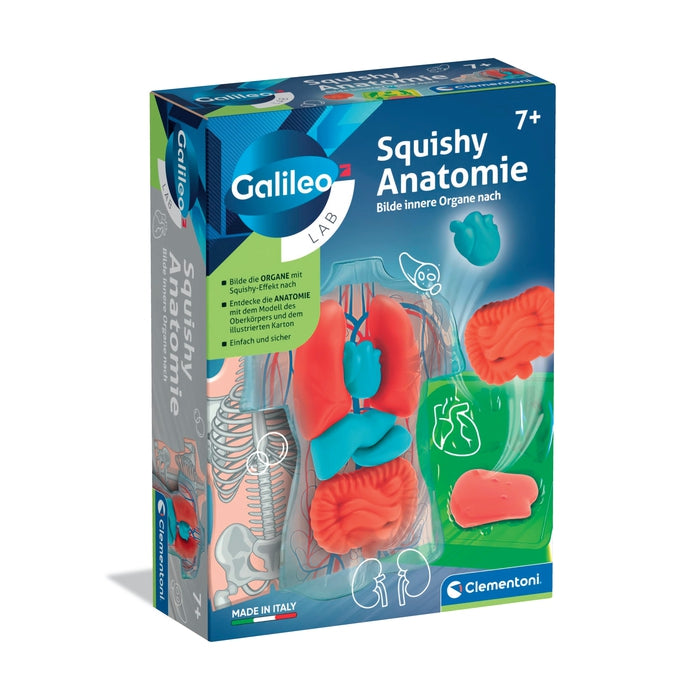 Squishy Anatomie