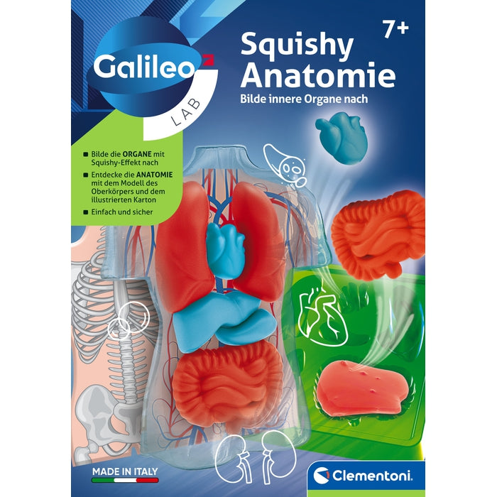 Squishy Anatomie