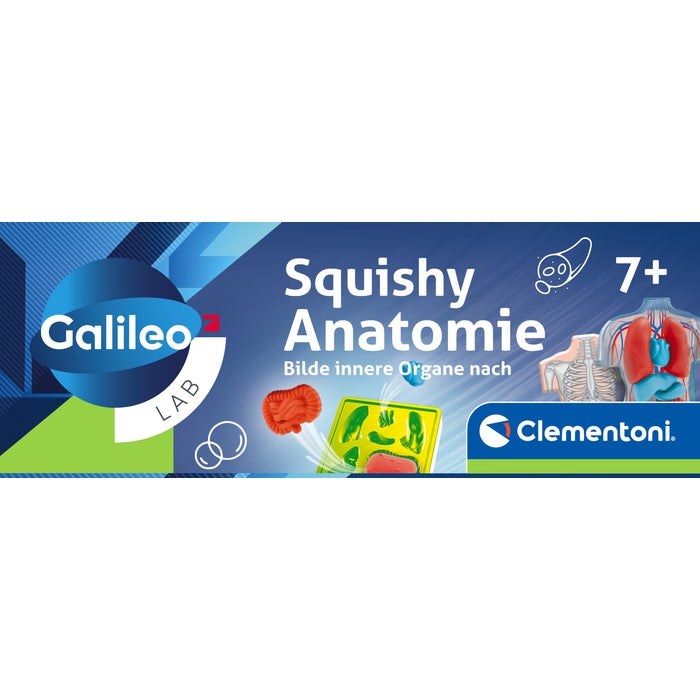 Squishy Anatomie