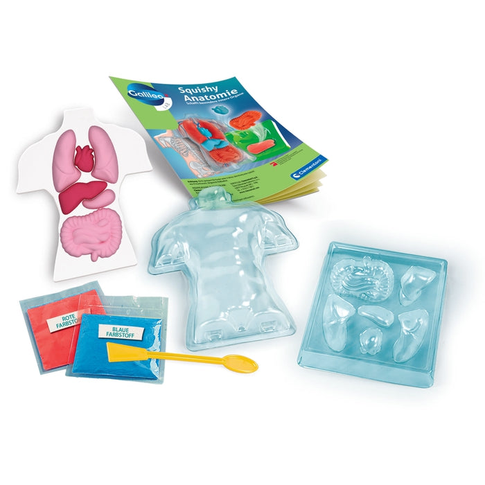 Squishy Anatomie