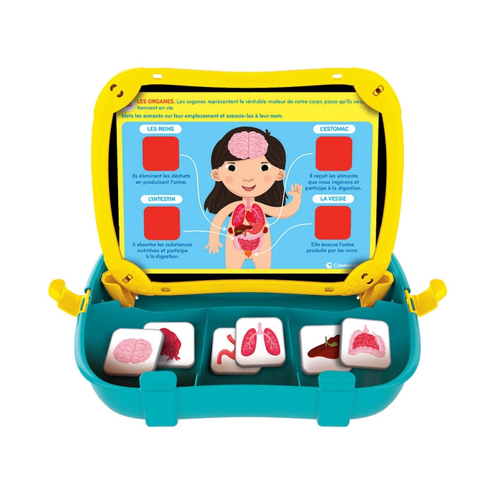 Lernbox - Mein Körper