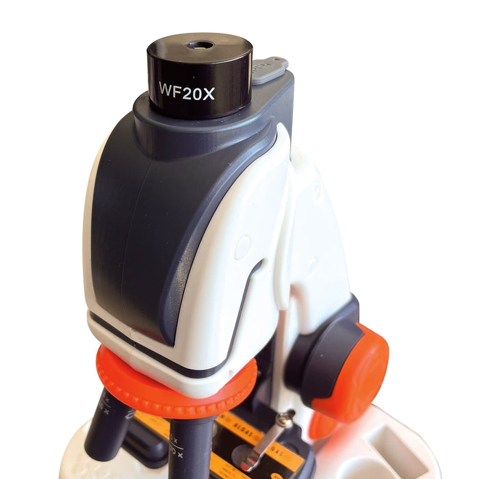 Mein digitales Mikroskop