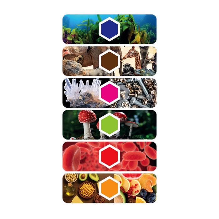 Mein digitales Mikroskop