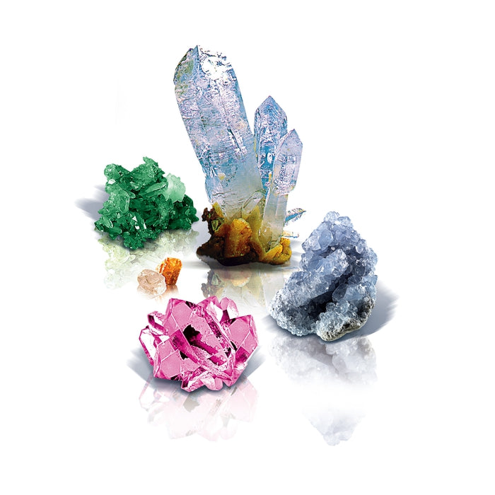 Kristalle selbst züchten Starter-Set