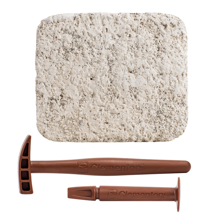 Ausgrabungs-Set  Steine + Mineralien