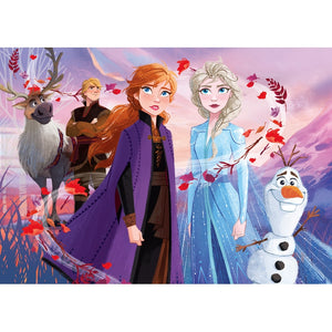 Frozen 2 - 2x20 + 2x60 teile