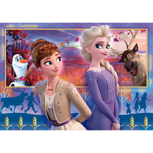 Disney Frozen 2 - 60 teile