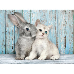Cat & Bunny - 500 teile