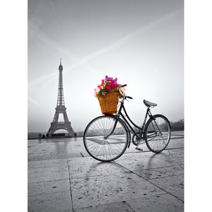 Romantic promenade in Paris - 500 teile