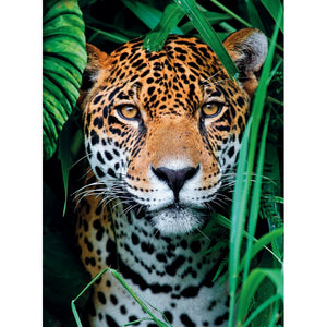 Jaguar In The Jungle - 500 teile