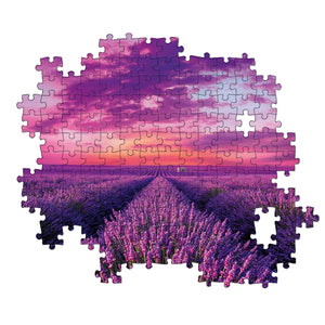 Lavender Field - 1000 teile