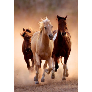 Running Horses - 1000 teile